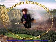 Formula Broomstick screenshot